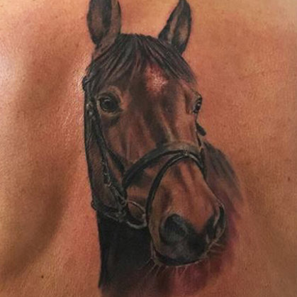 Realistic horse tattoo in colour ibiza